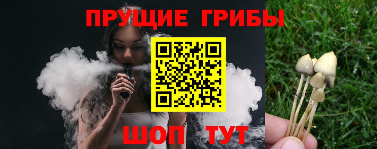 Псилоцибиновые грибы Psilocybe  Галлюциногенные грибы Psilocybe  Северск  Вход с VPN 